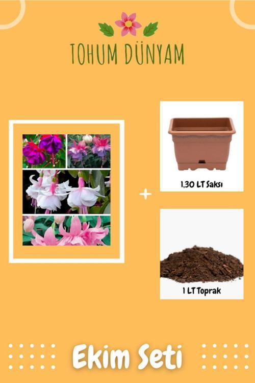 Özel Renk Küpeli Farklı Renkler Tohumu Ekim Seti