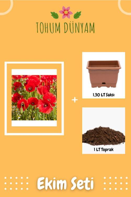 Gelincik Çiçek (Papaver Rhoeas) Tohumu Ekim Seti