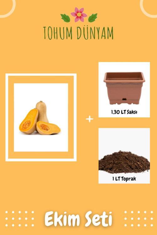 Erkenci Bal Kabağı Tohumu Ekim Seti