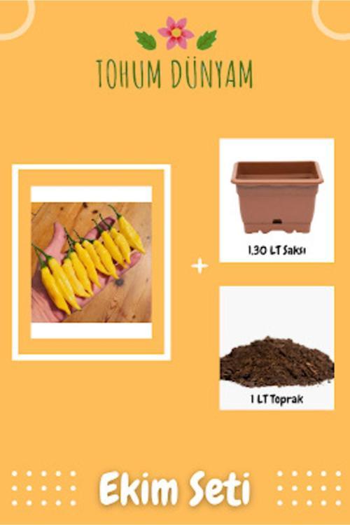 Limon Damlası Acı Biber Tohumu Ekim Seti