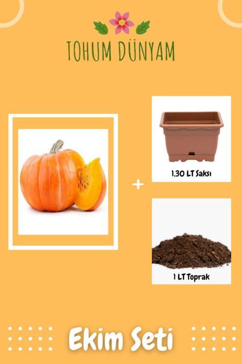 Atlantik Giant Bal Kabağı Tohumu Ekim Seti