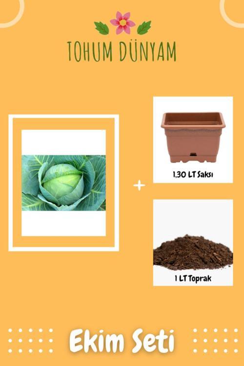 Beyaz Lahana Tohumu Ekim Seti