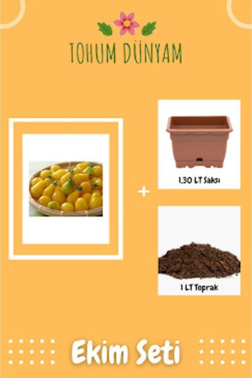 Sarı Ampul Cherry Domates Tohumu Ekim Seti