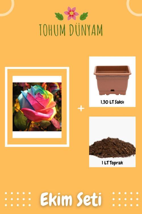 Gökkuşağı Gü Tohumu Ekim Seti