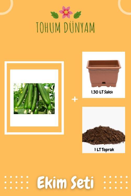 Bol Verimli Erkenci Badem Salatalık Tohumu Ekim Seti