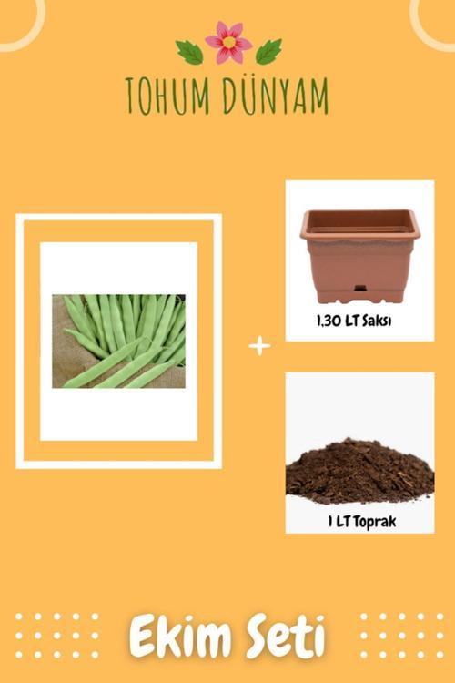 Nadir Yediveren Magnum Fasülyesi Tohumu Ekim Seti