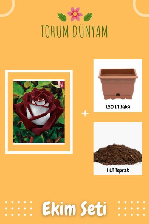 Redwhite Gül Tohumu Ekim Seti