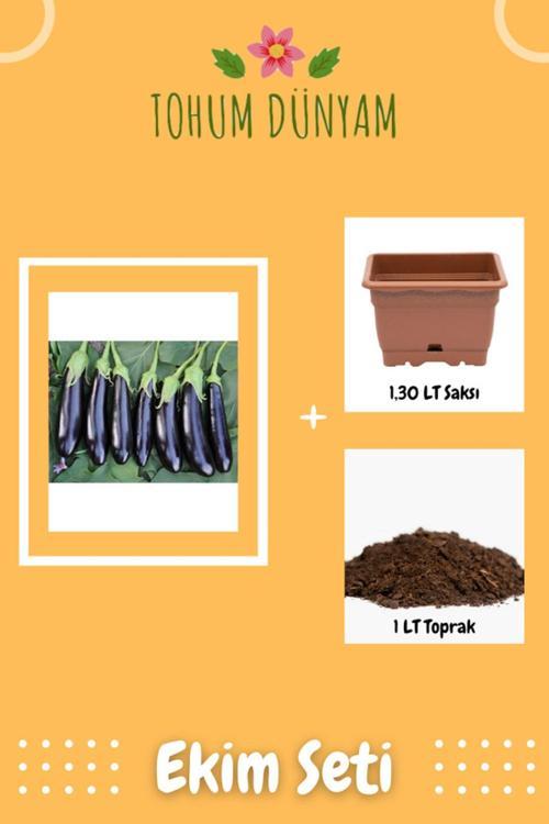 Kemer Patlıcan Tohumu Ekim Seti