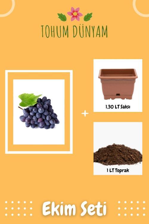 Nadir Siyah Şarköy Üzüm Tohumu Ekim Seti