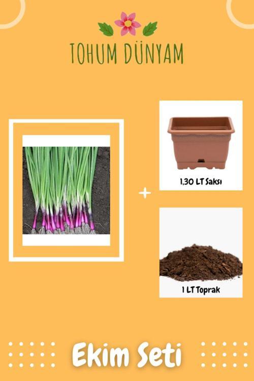 Apache Yeşil Soğan Tohumu Ekim Seti