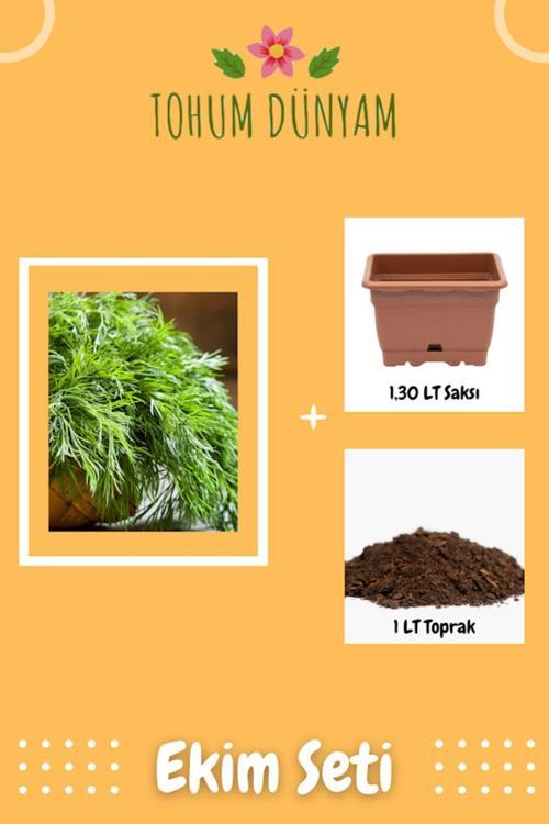 Yerli Dereotu Tohumu Ekim Seti