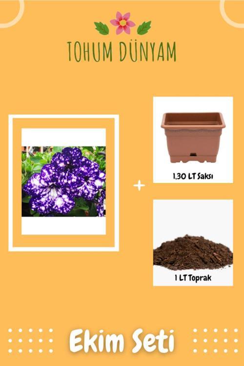 Mavi-Beyaz Renkli Ithal Bodur Petunya Tohumu Ekim Seti