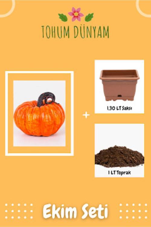 Turuncu Bal Kabağı Tohumu Ekim Seti