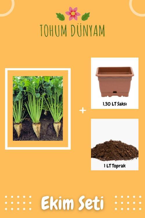 Yerli Beyaz Şeker Pancarı Tohumu Ekim Seti