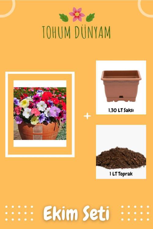 Karışık Petunya Çiçeği Tohumu Ekim Seti