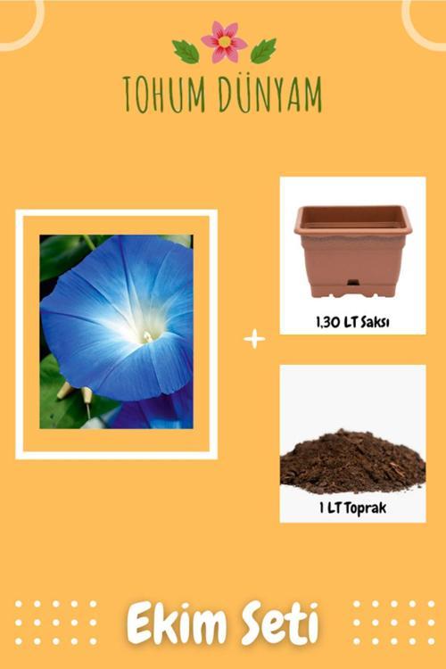 Sarmaşık Mavi Iri (İpomoea) Çiçek Tohumu Ekim Seti