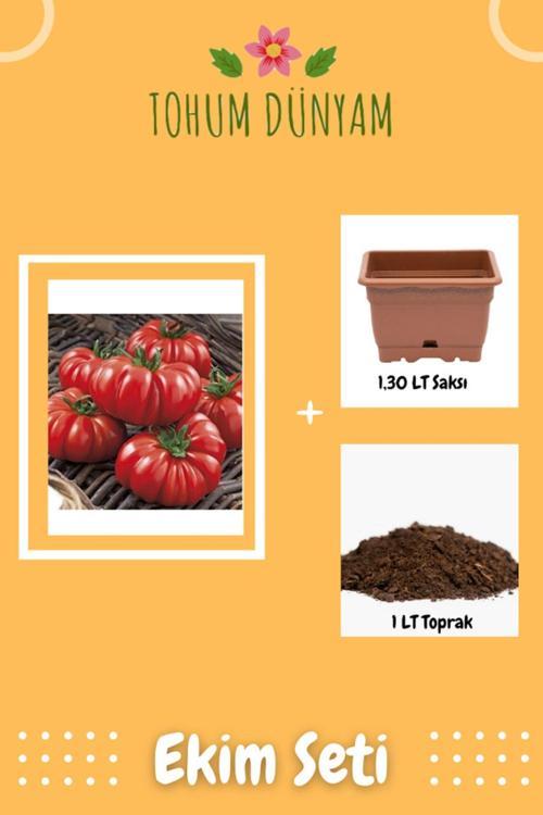 Italyan Domates Tohumu Ekim Seti