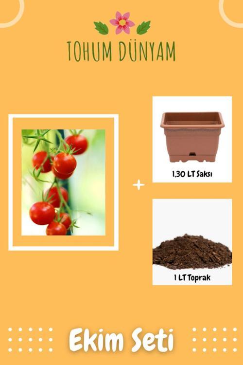 Cherry Domates Tohumu Ekim Seti