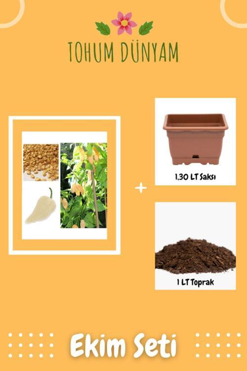 Beyaz Bhut Jolokia Biber Tohumu Ekim Seti