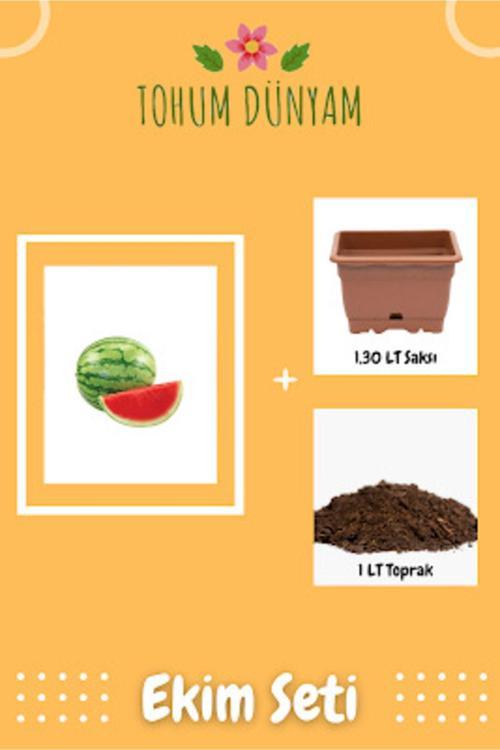 Nadir Thailand Çekirdeksiz Karpuz Tohumu Ekim Seti