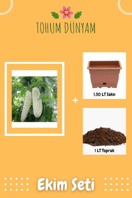 White Large Bitter Kavun Tohumu Ekim Seti