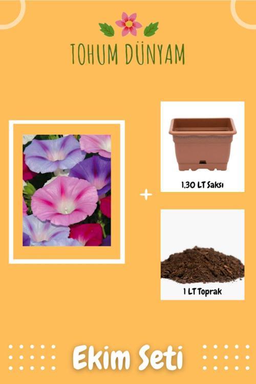 Sarmaşık Çiçeği Tohumu Ekim Seti