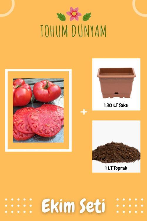 Yöresel Iri Nergele Domatesi Tohumu Ekim Seti