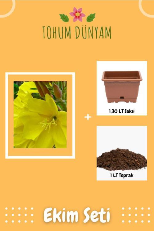 Ezan Çiçeği Çiçek Tohumu Ekim Seti