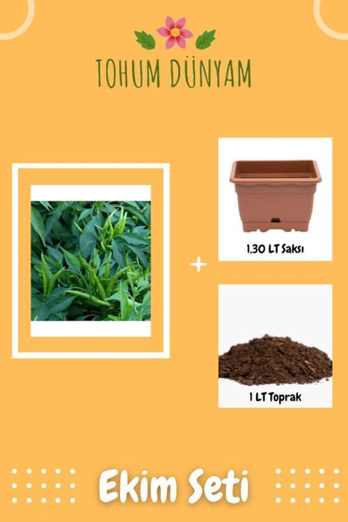 Cin Süs Biber Tohumu Ekim Seti