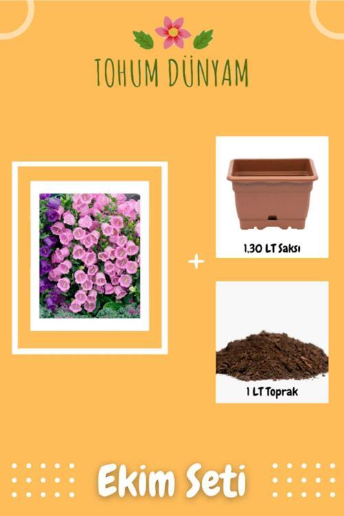 Pembe Çan Çiçeği 1. Kalite Özel Ürün Tohumu Ekim Seti