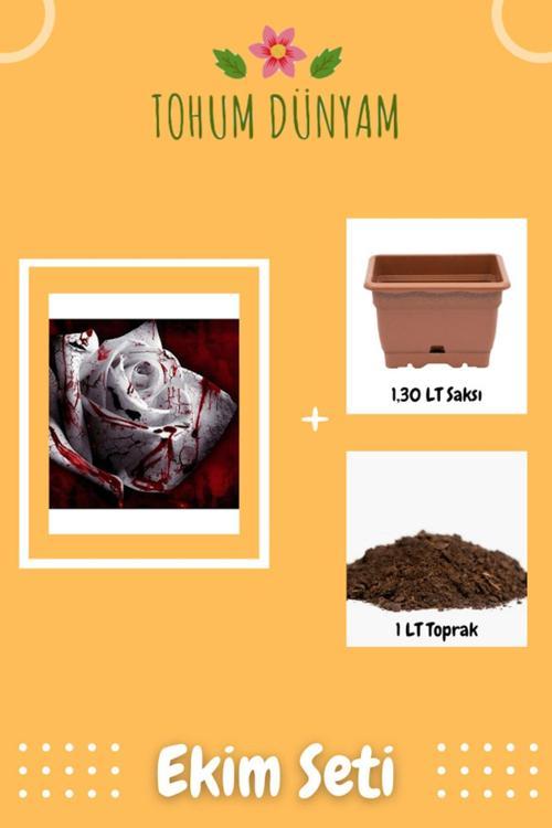 Blood Rose Gül Tohumu Ekim Seti