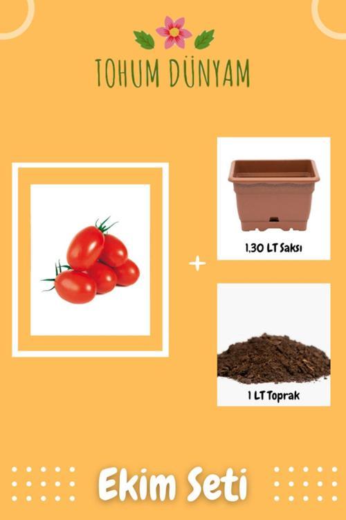 Saksılık Zeytin Domates Tohumu Ekim Seti
