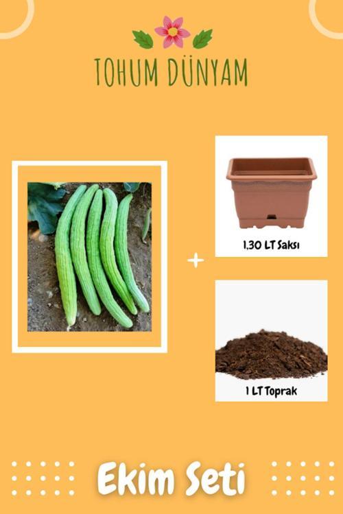 Yerli Köy Tipi Acur Tohumu Ekim Seti