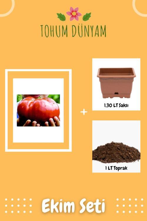 Nadir Ithal Dev Hollanda Domates Tohumu Ekim Seti