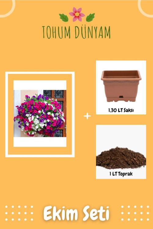 Petunya Balkon Çiçeği Tohumu Ekim Seti