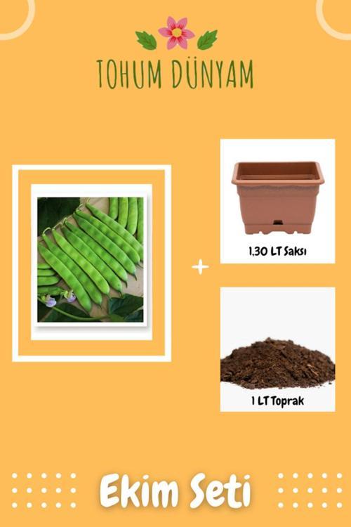 Yerli Sarıkız Fasulye Tohumu Ekim Seti
