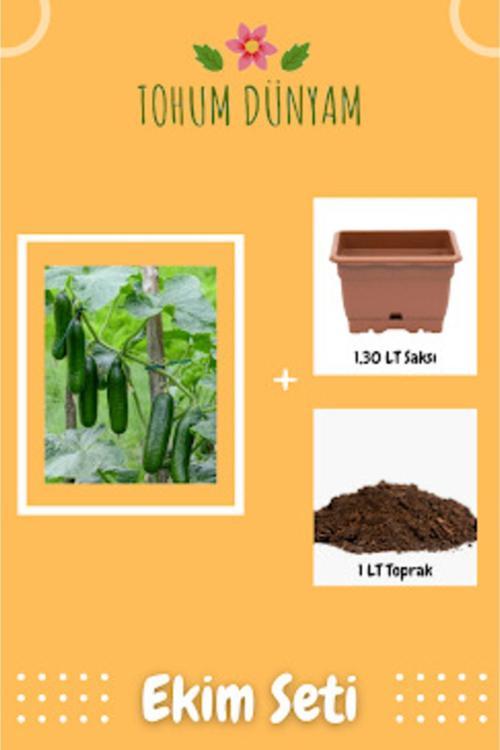 Erkenci Yediveren Hıyar Tohumu Ekim Seti