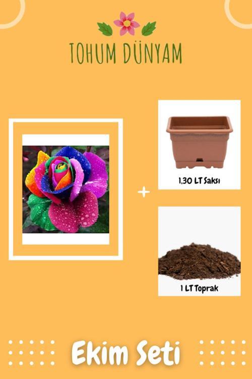 Kadife Gökkuşağı Gül Tohumu Ekim Seti