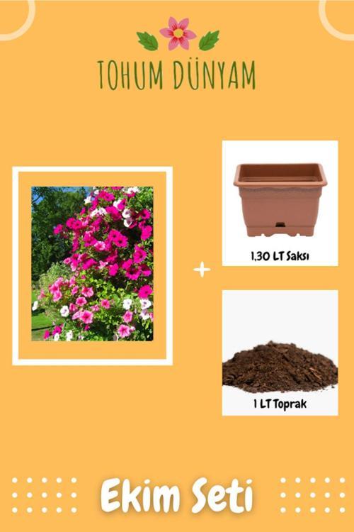 Petunya Çiçek (Çift Yaprak Doğal Dolgun) Tohumu Ekim Seti