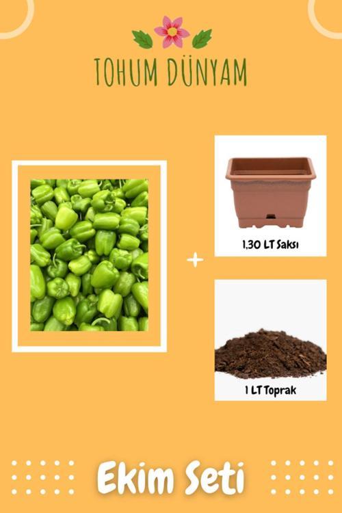 Kandil Dolma Biber Tohumu Ekim Seti