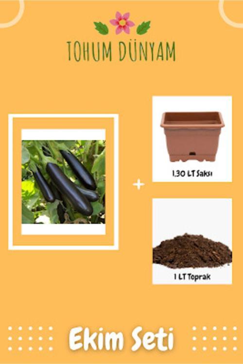 Az Çekirdekli Kemer Patlıcan Tohumu Ekim Seti