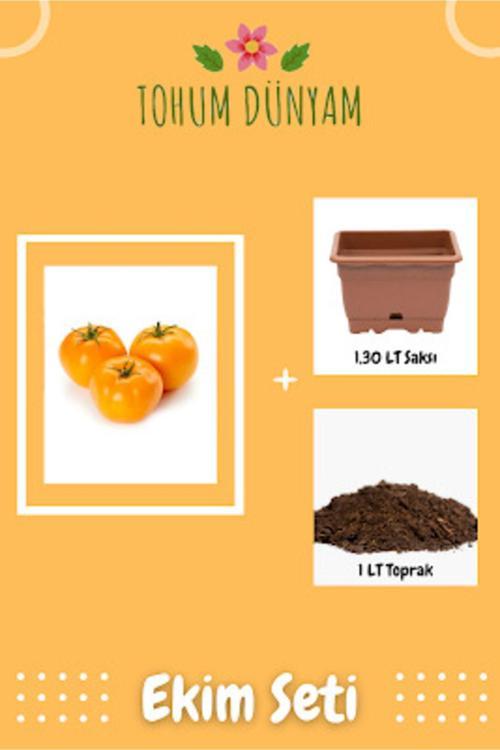 Nadir Ithal Iri Turuncu Domates Tohumu Ekim Seti