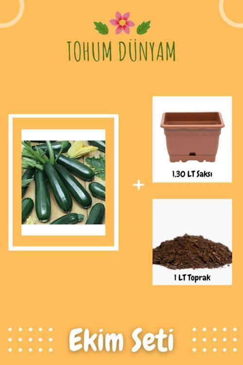 Siyah Kabak Tohumu Ekim Seti