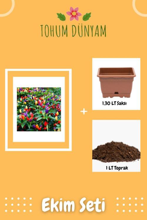 Yediveren Acı Süs Biberi Tohumu Ekim Seti