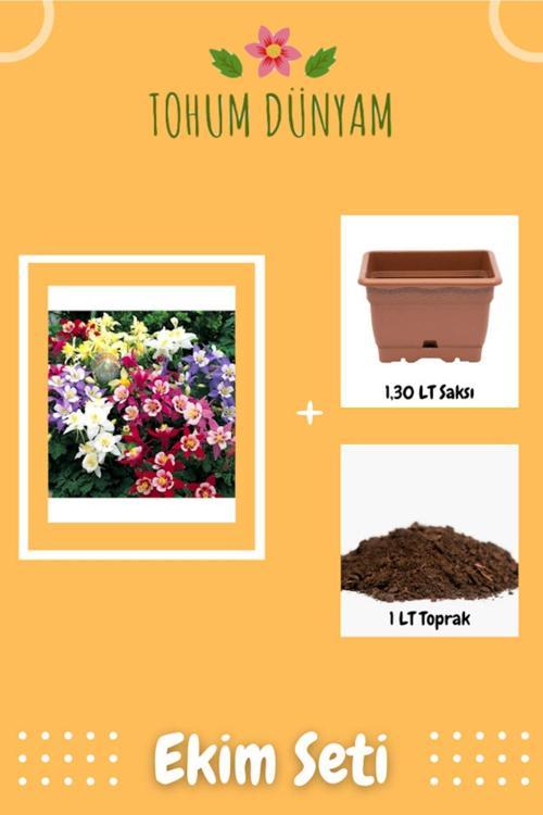 Haseki Küpesi Çiçek Tohumu Ekim Seti