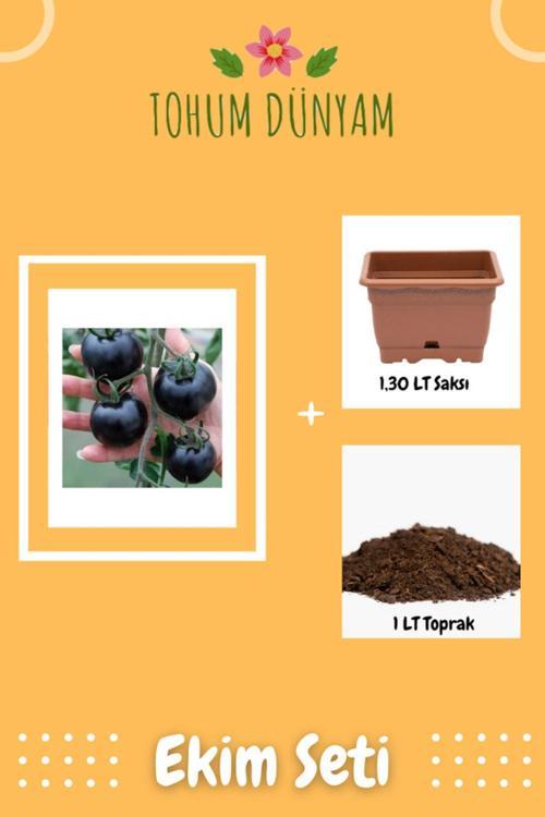 Siyah Domates Tohumu Ekim Seti