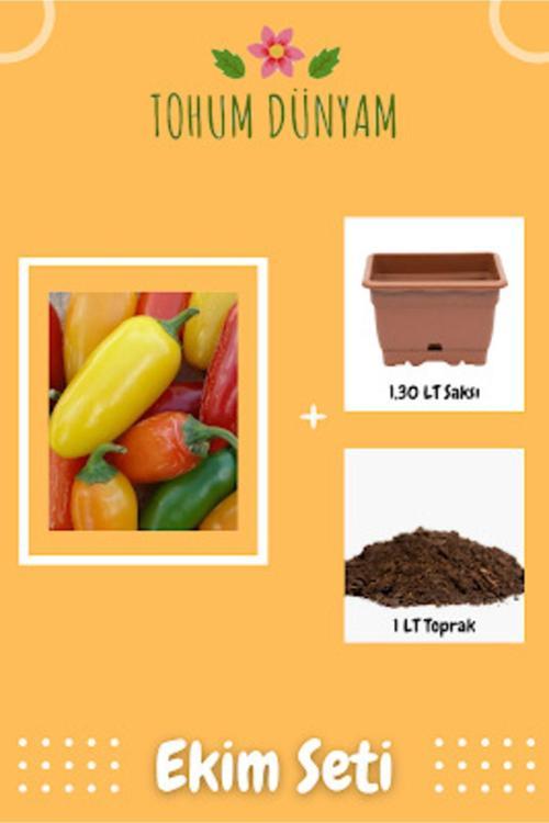 Jalapeno Renkli Biber Tohumu Ekim Seti