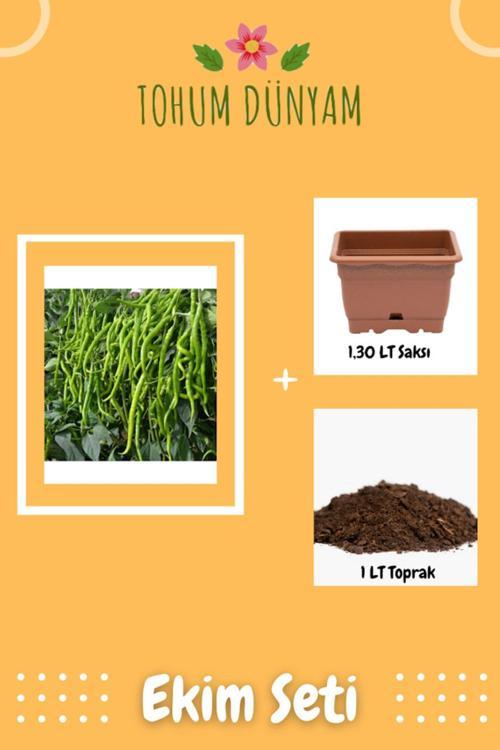 Tatlı Kıl Biber Tohumu Ekim Seti