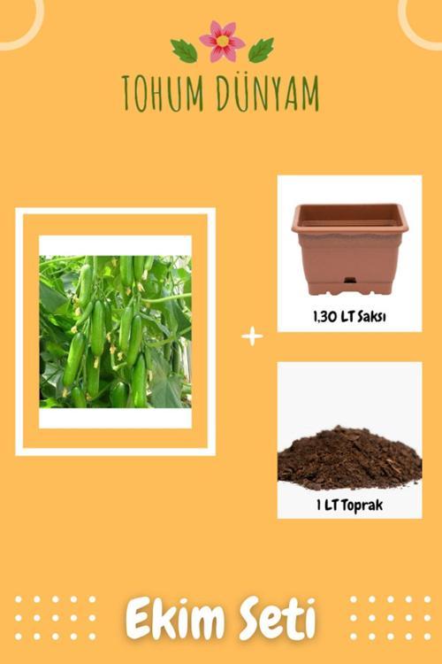 Silor Badem Sırık Hıyar Tohumu Ekim Seti