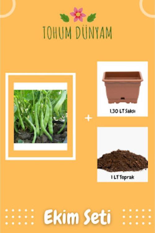 Yediveren Kılçıksız Fasülye Tohumu Ekim Seti